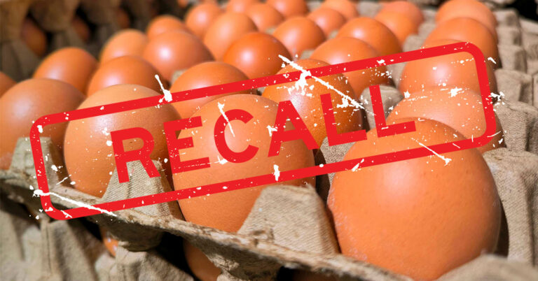 Recall Alert: Salmonella Outbreak Linked to Eggs Leaves 63 Ill and 13 Hospitalized - Featured image