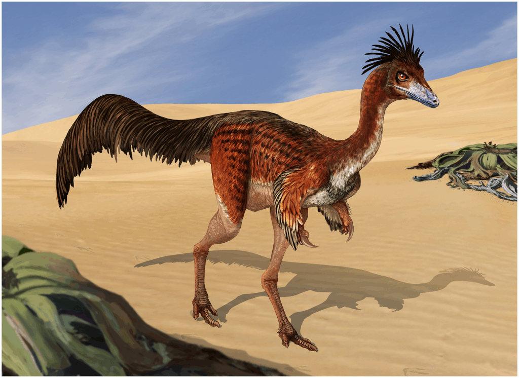 A speculative ife reconstruction of an individual of MPCN-PV 738, referred to cf. Bonapartenykus ultimus.