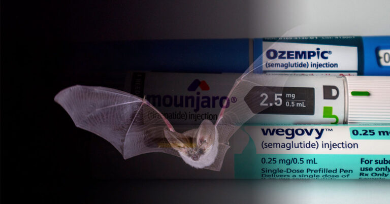 Bats May Hold a Key to Future Diabetes Therapies, Scientists Say - Featured image