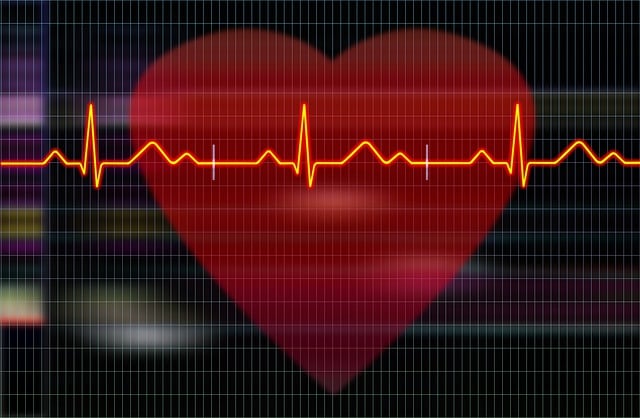 digital heart and heartbeat