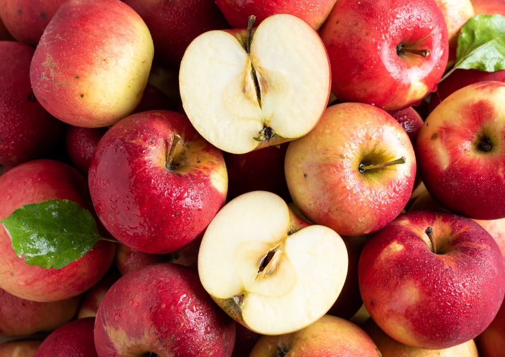 red apple cultivar jonathan group