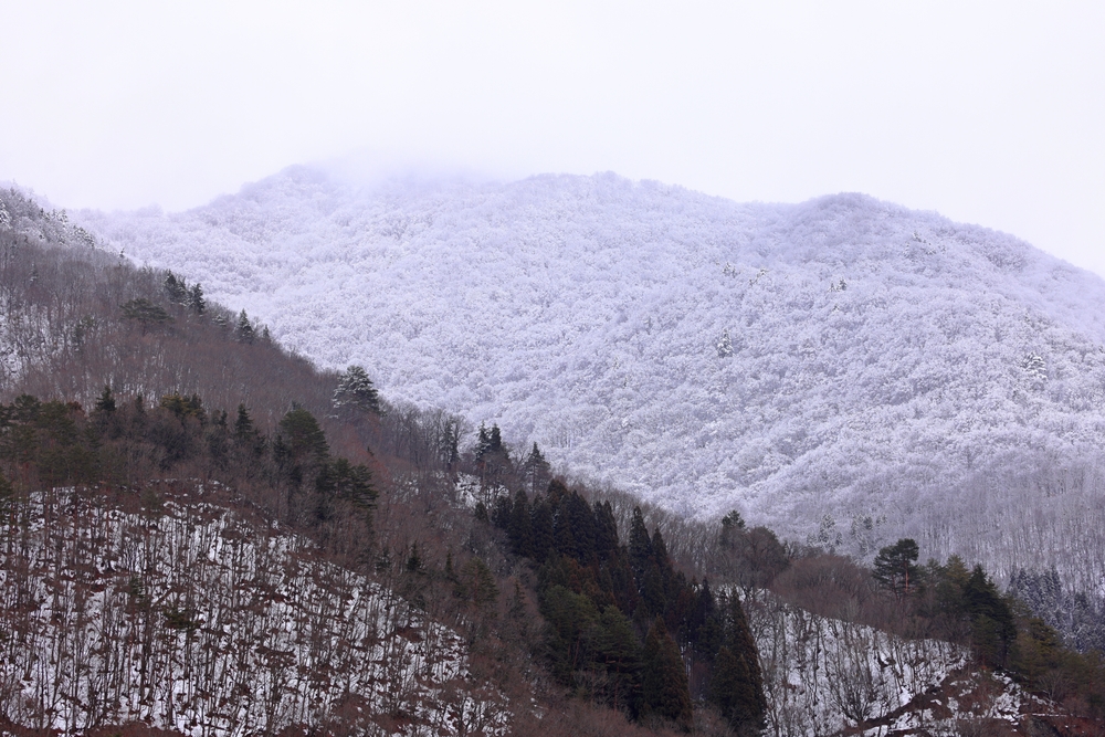 Mountains near village of Shirakawa-go located in Gifu Prefecture, Japan