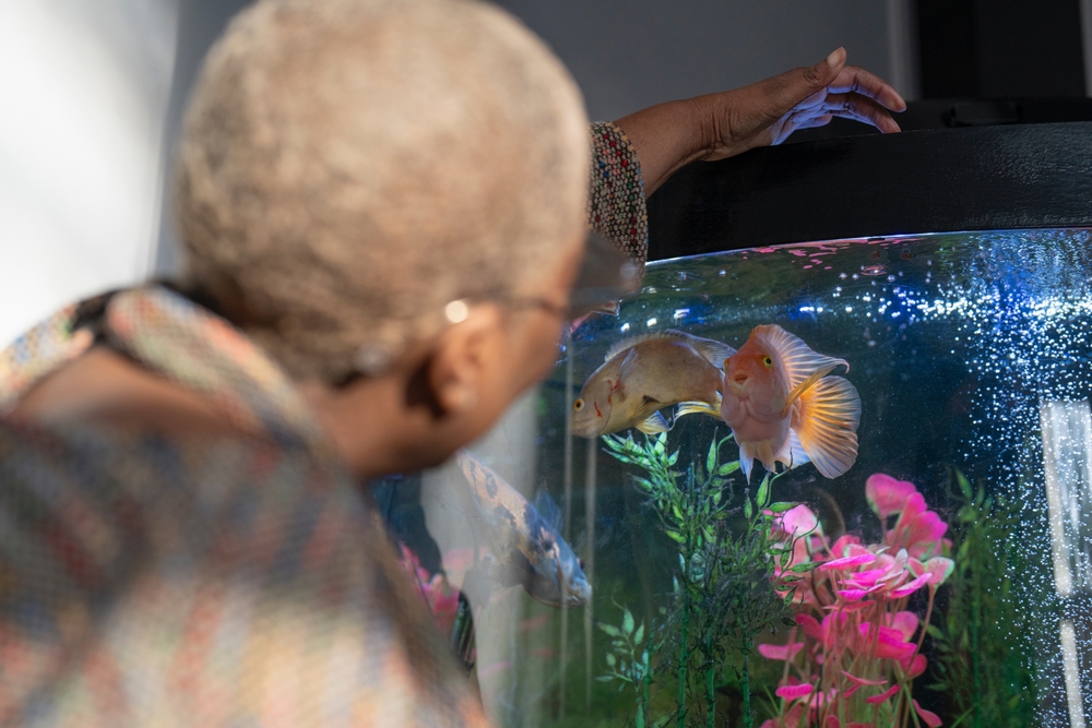 Mature woman feeding fish in aquarium