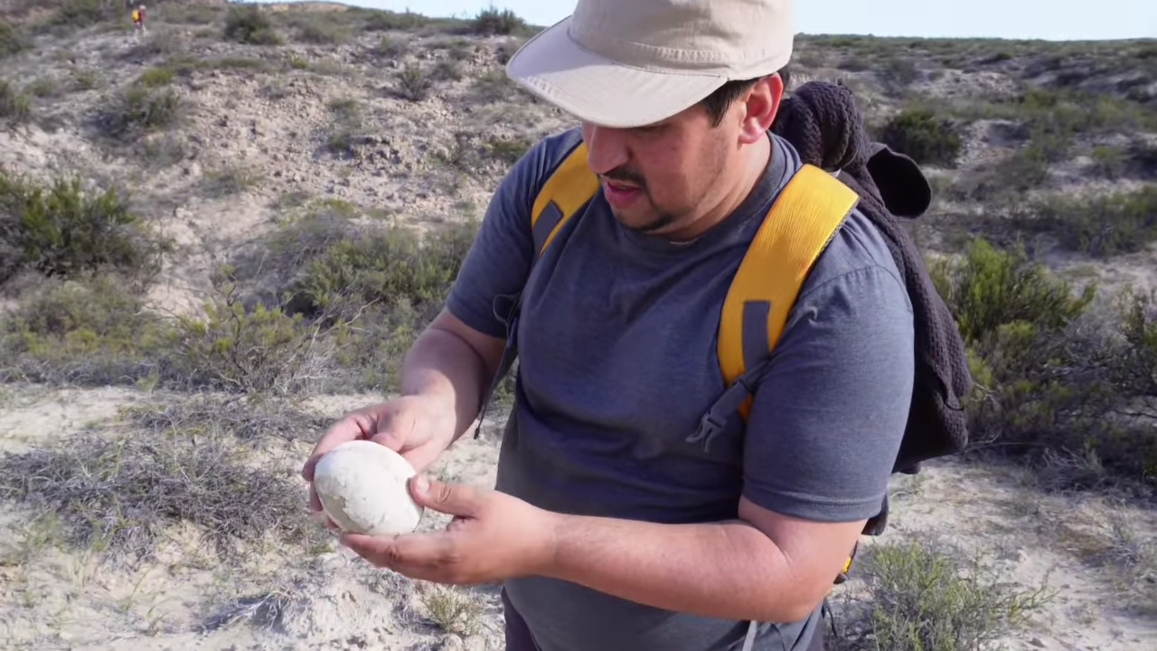 A snapshot of the video of Dr. Federico Agnolín finding the miraculously intact egg.