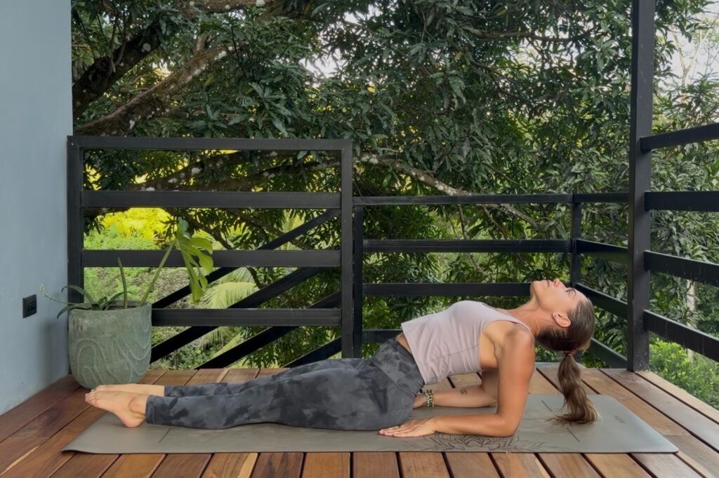 Fish Pose (Matsyasana)