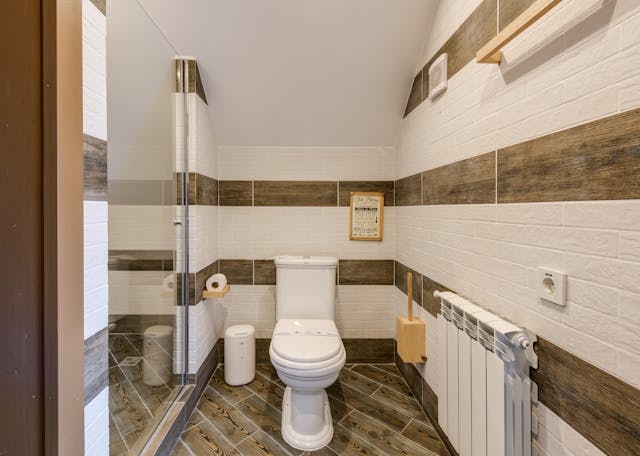 toilet