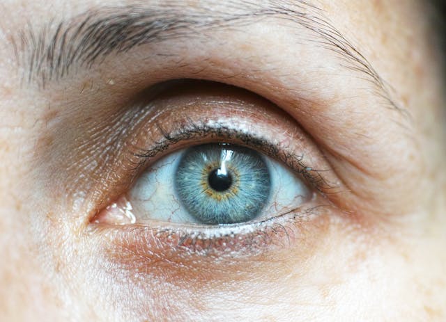close up of an eye