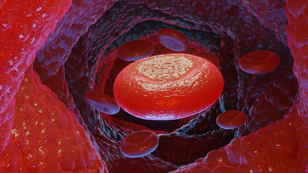 3d Illustration of Red blood cells, 3d render