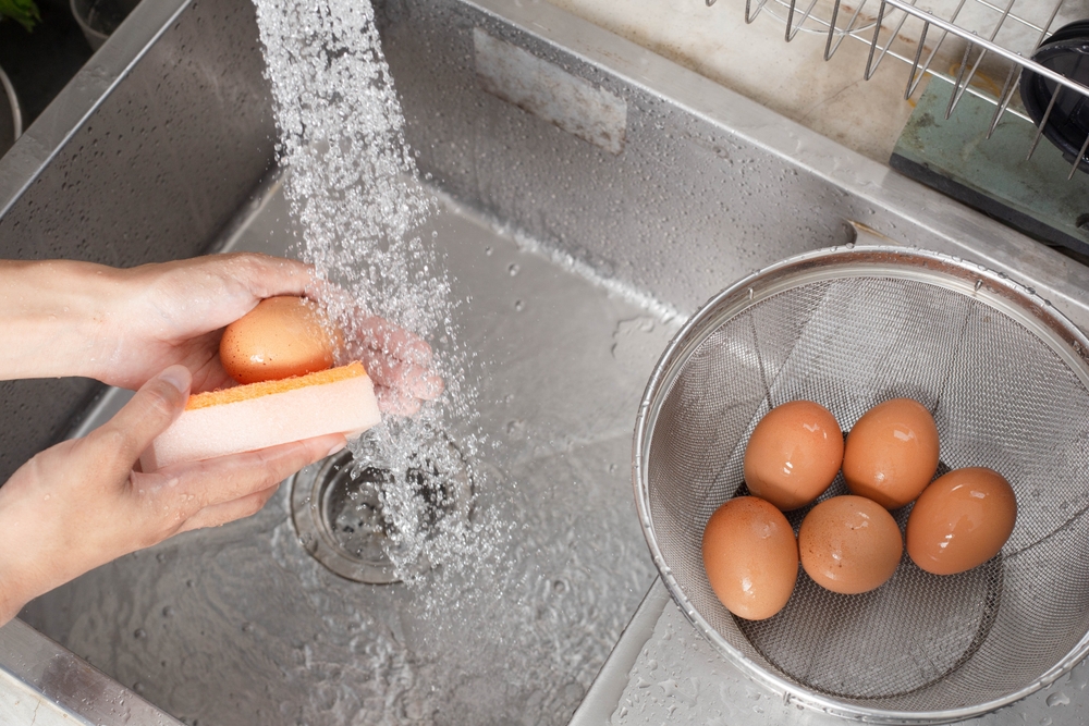 Egg wash, Egg wash allows bacteria to penetrate the shell easily into the egg, Salmonella bacteria, E. coli,