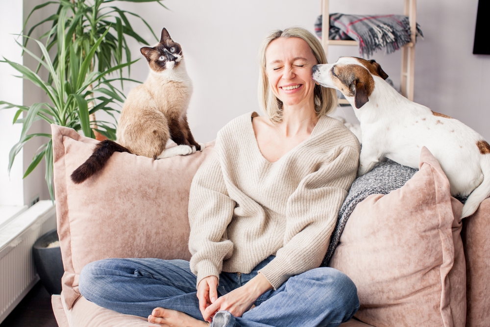 Happy woman playing with her dog and cat on the couch at home. Dog licking middle aged woman in the living room while cat looking away