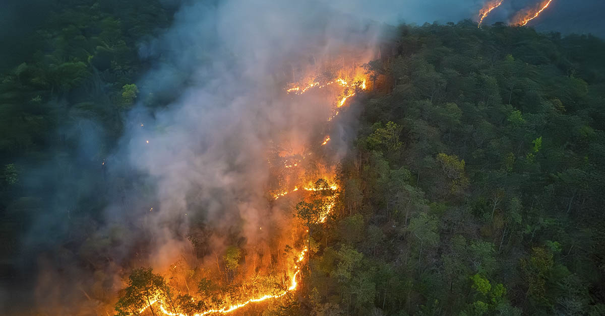 Scientists Warn Earth May Be Approaching an Irreversible ‘Hothouse’ State