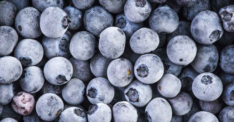 FDA Class I Alert: Frozen Blueberries Recalled Over Listeria Threat - Featured image