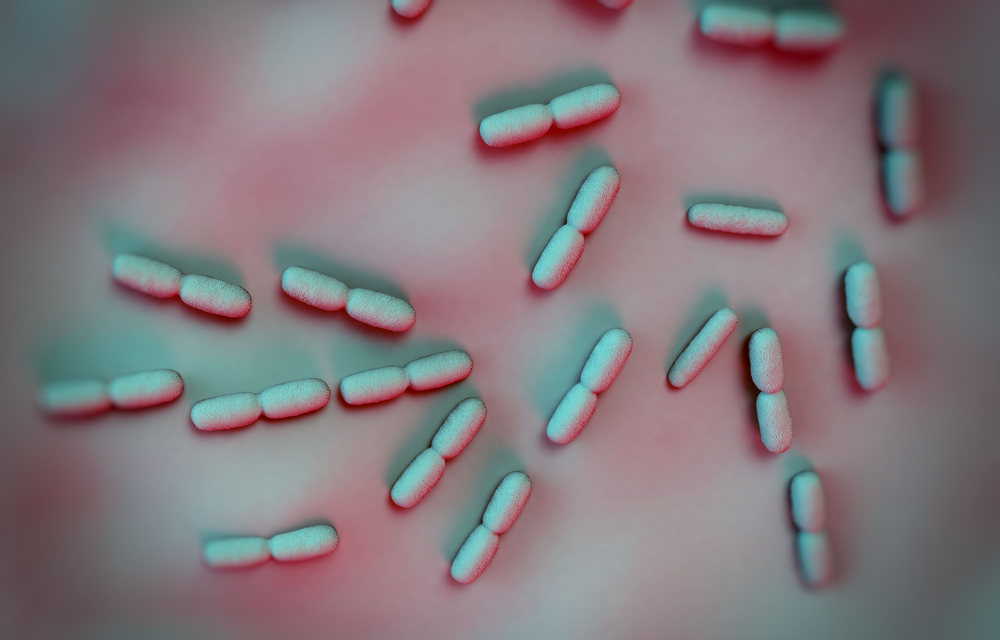 Listeria bacteria