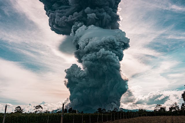 bomb detonated in nature