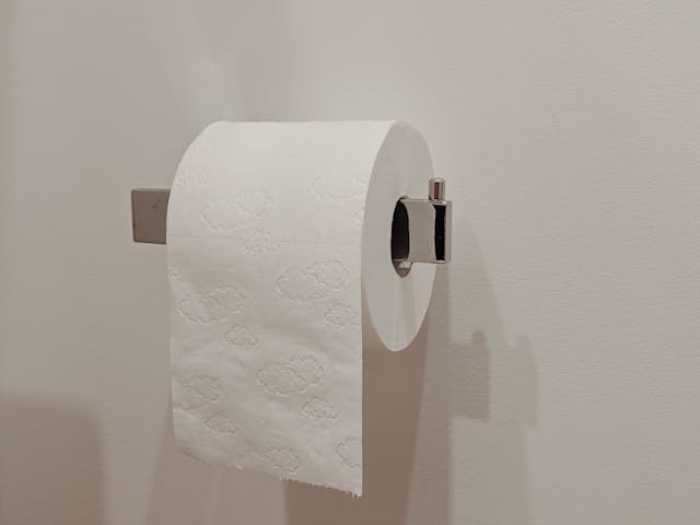 roll of toilet paper