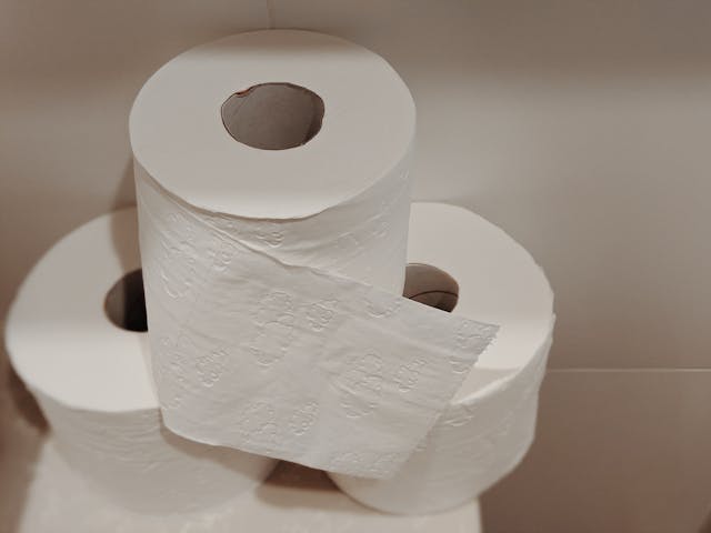 rolls of toilet paper
