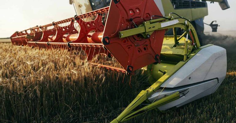 Trump’s Agricultural Tariffs Impact All 50 States, Pressuring Farmers And Raising Food Prices - Featured image
