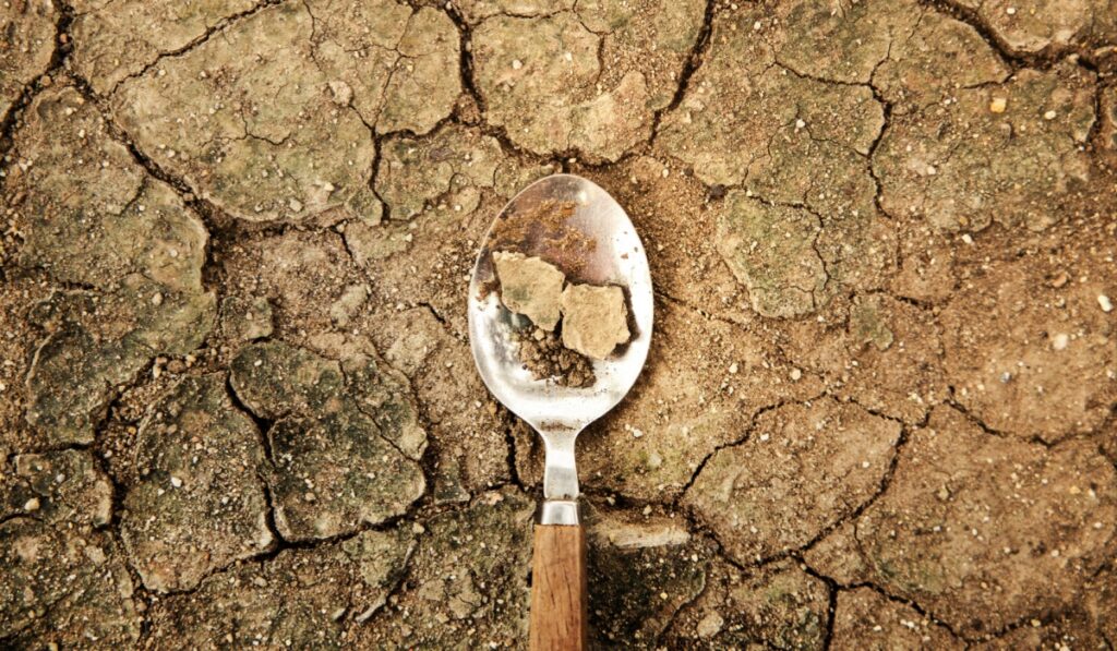 World Food Problem Concept. Environmental Impact. Food Shortage ,Global Issues in Agricultural Food Production. Cracked Soil, Desertification, Water, Pollution, Energy,Climate Change and Food Security