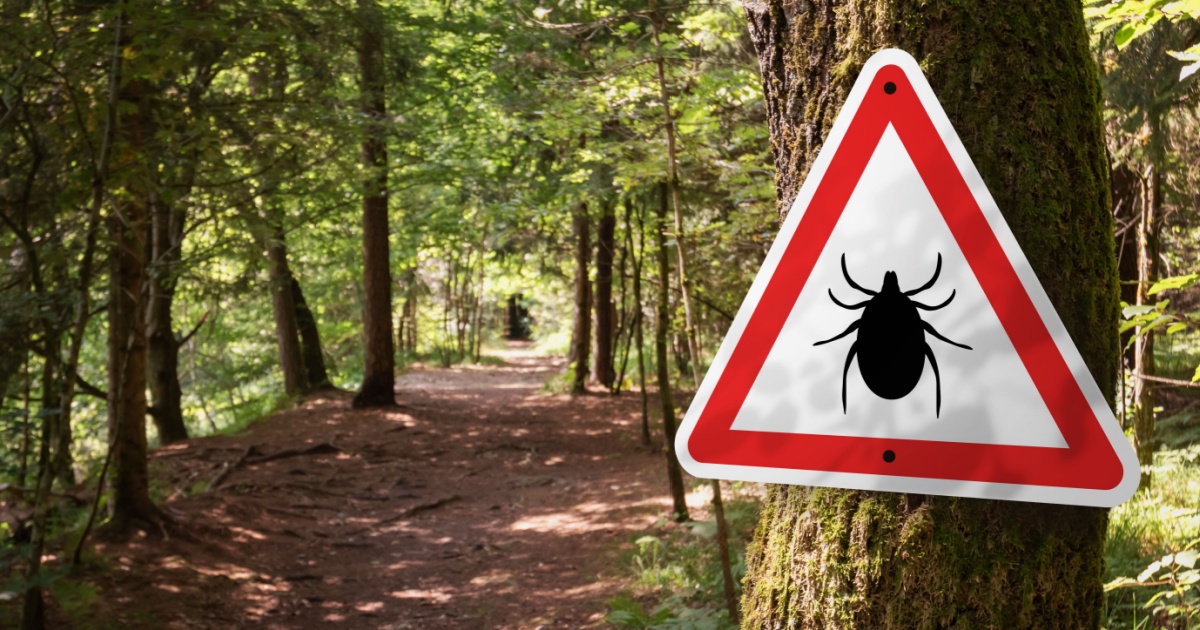 US States Where ER Visits for Tick Bites Are Spiking