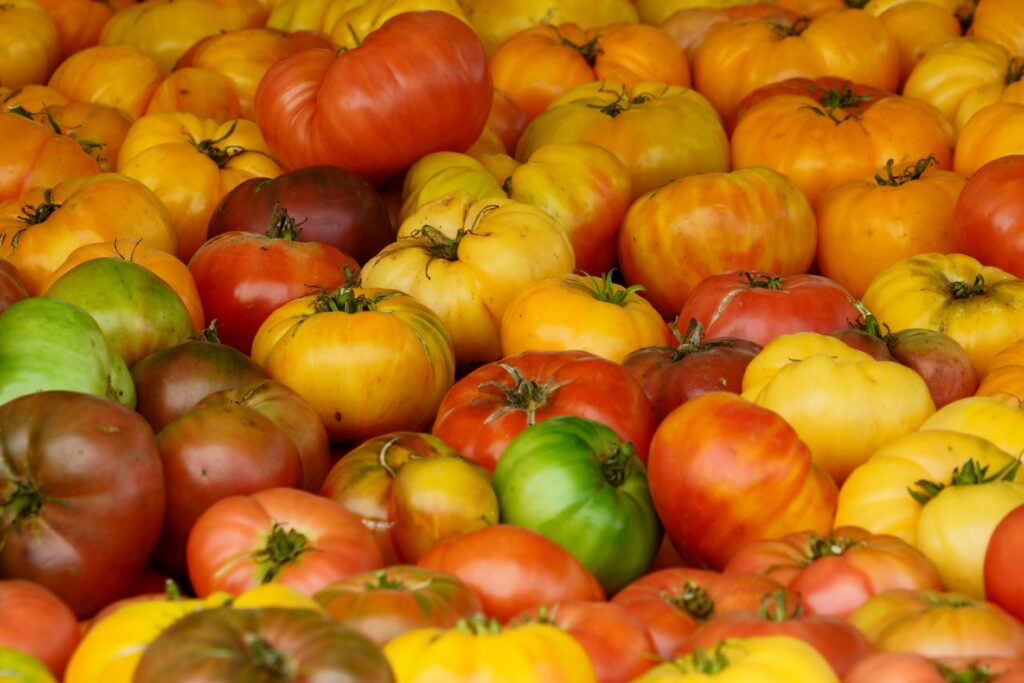 Vibrant Heirloom Tomatoes in Belgian Market