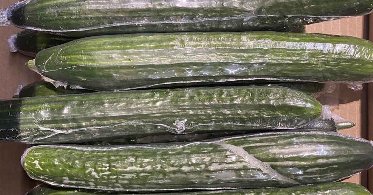 Most People Have No Idea Why English Cucumbers Are Always Wrapped in Plastic - Featured image