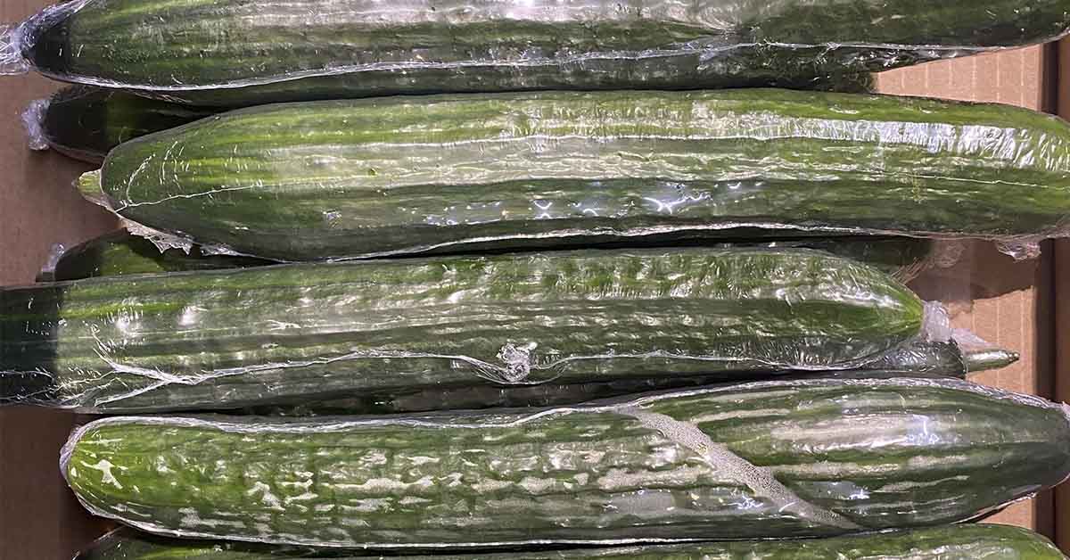 Most People Have No Idea Why English Cucumbers Are Always Wrapped in Plastic