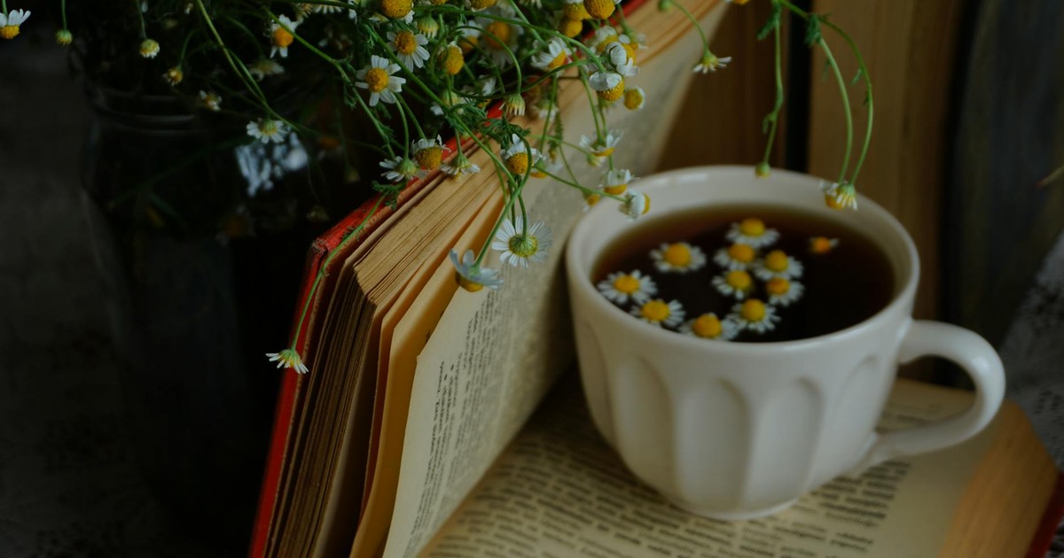 Calming scene with an open book, chamomile tea, and flowers.