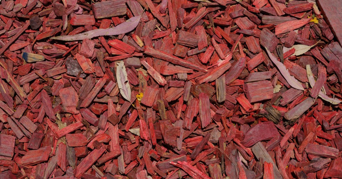 Detailed view of red wood chips scattered on the ground, creating a vivid natural background.