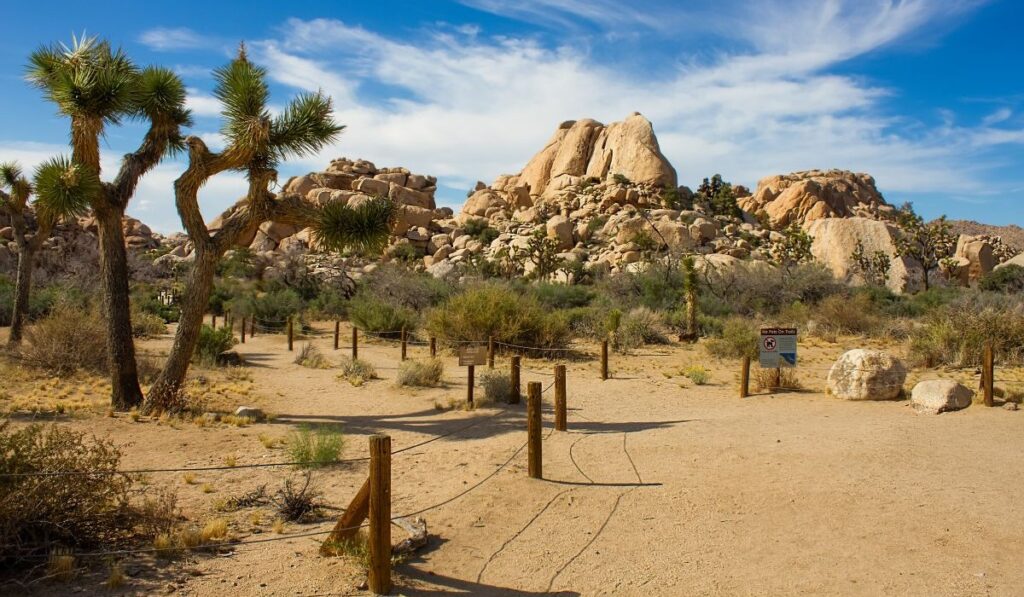  Entrance to Baker Dam trail in Joshua Tree National Park, California, USA