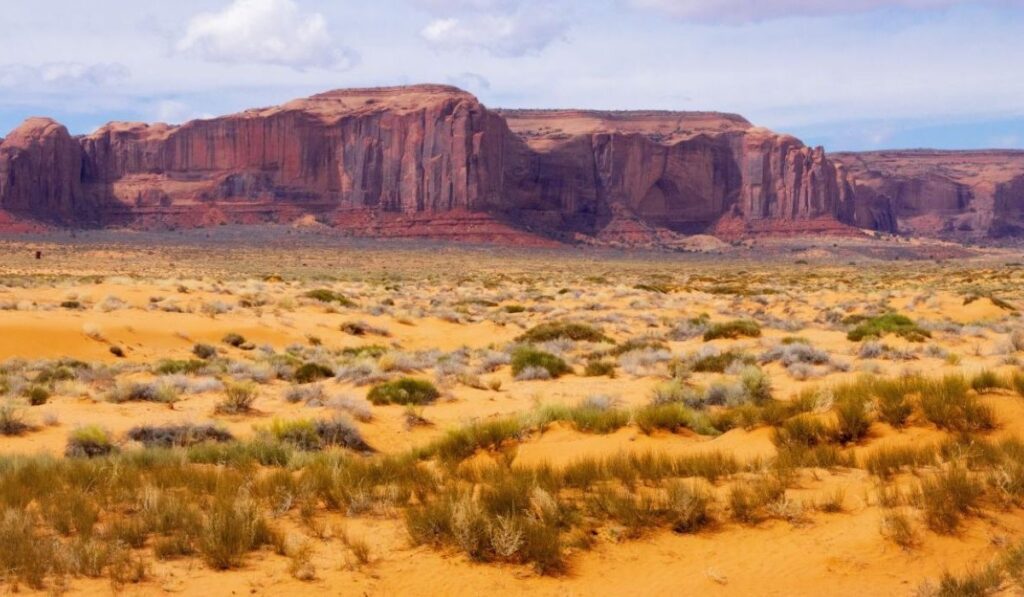  Desert fields and buttes in Monument Valley, in both Utah and Arizona, USA, San Juan and Coconino Counties, in Navajo Nation Reservation, grassy and sandy fields, in March of 2024.
