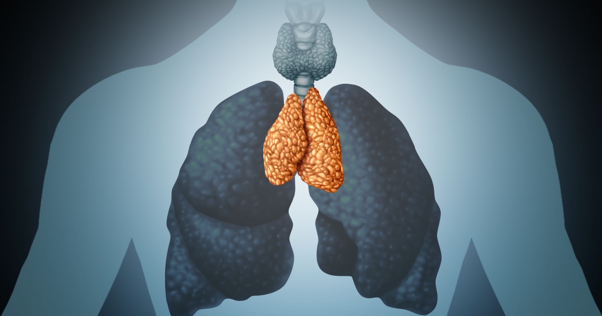 Body’s Most Mysterious Organ May Play a Key Role in Longevity and Cancer