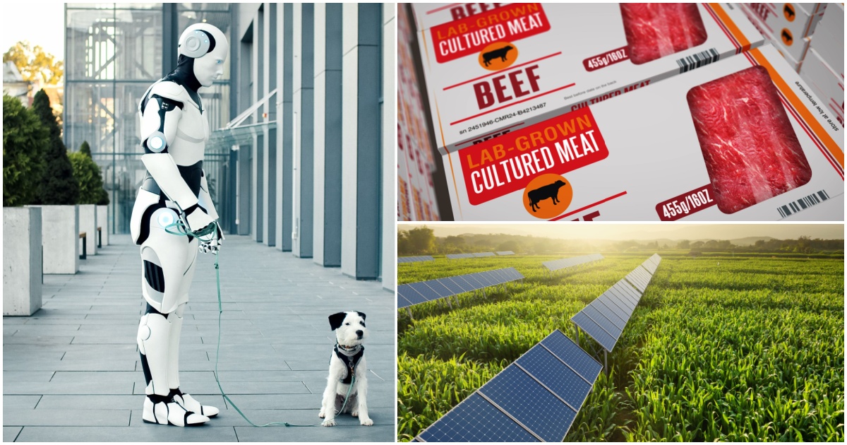 7 Ways Life on Earth Could Be Completely Different by 2050