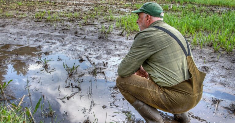 More Rain, Less Water? What a Worrying New Study is Telling Us About Rainfall - Featured image