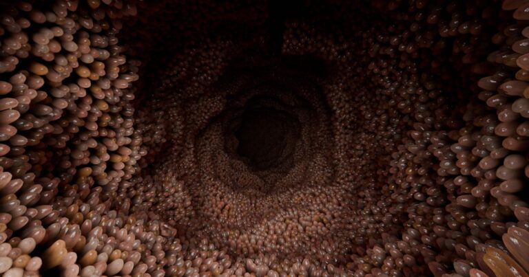 Scientists Discover Where Gluten Reactions Start in the Body - Featured image