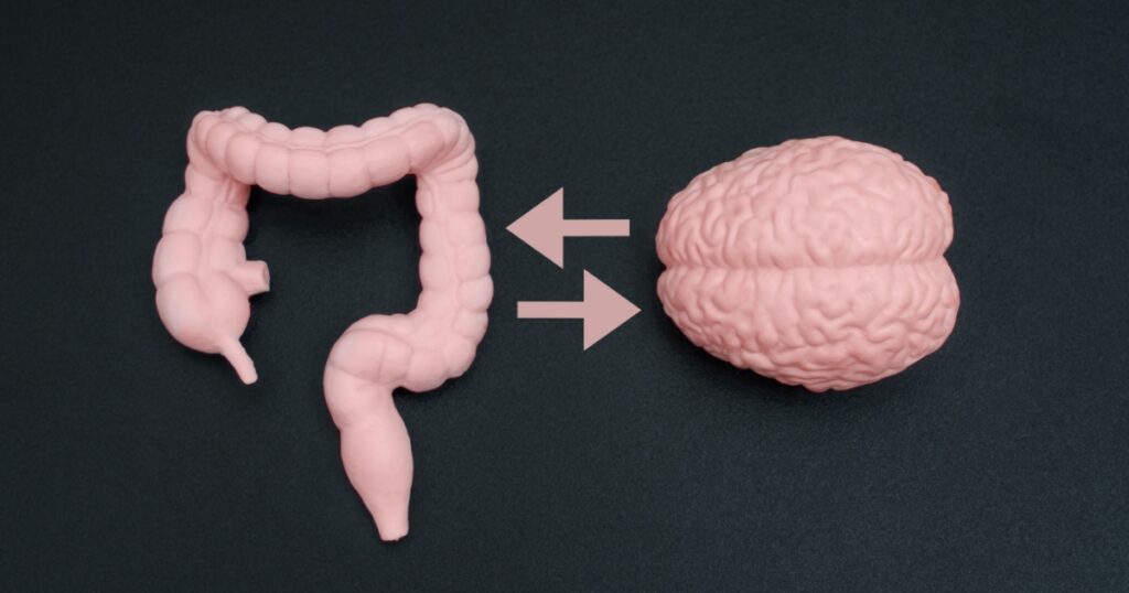 The Gut-Brain Connection: What Science Now Knows - Featured image