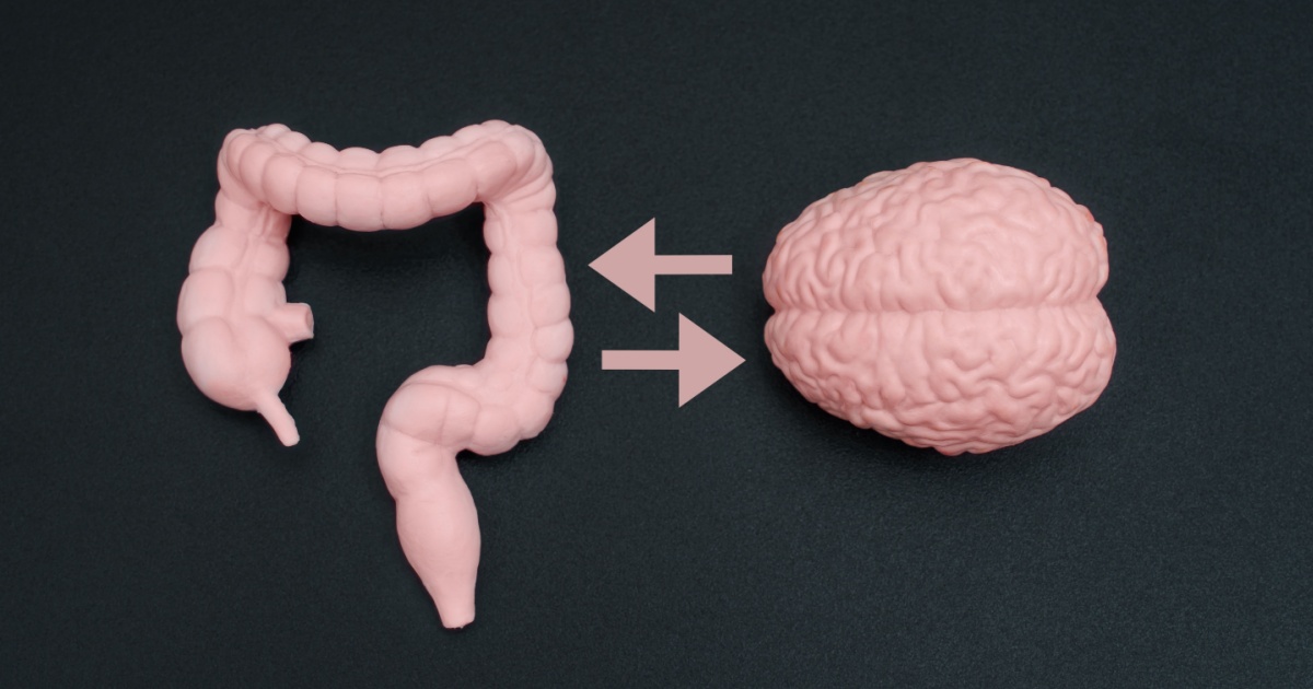 The Gut-Brain Connection: What Science Now Knows