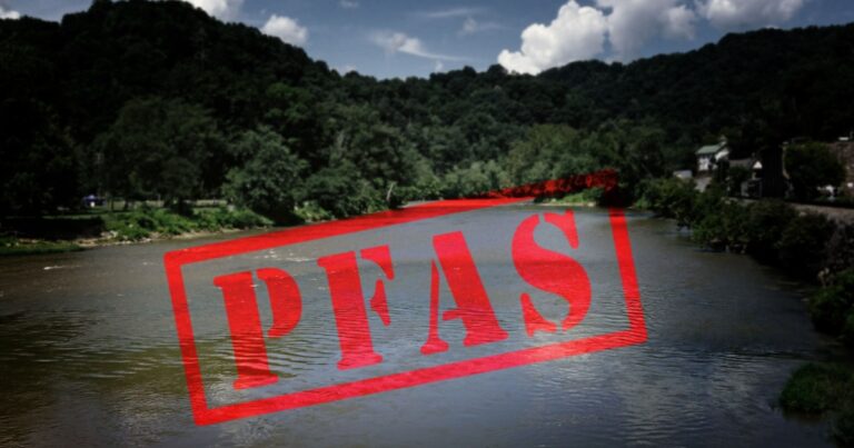 Georgia’s Forever Chemical Cover-Up: What We Now Know - Featured image