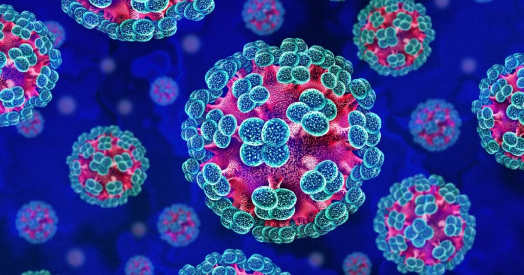 Everything We Need To Know About Hantavirus After Recent Deaths On Cruise Ship - Featured image