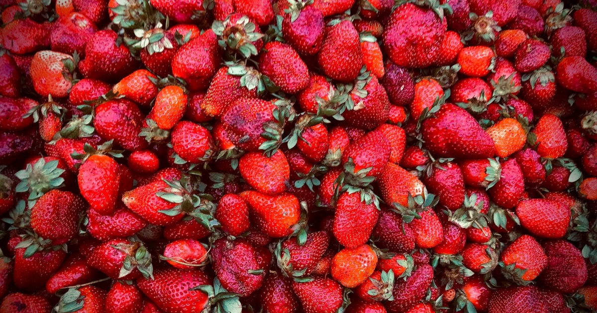 The 2026 Dirty Dozen Is Out — And Forever Chemicals Are Now on Your Produce