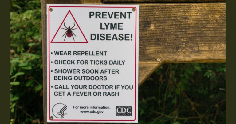 US Tick Bite Warning 2026: States, Maps & CDC Alert - Featured image
