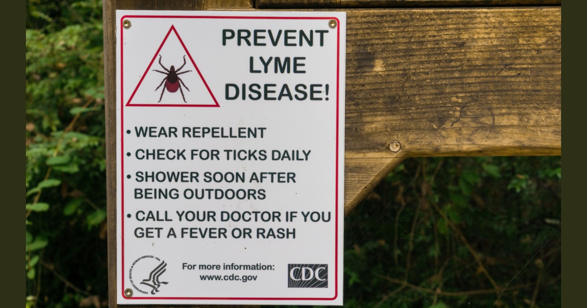 US Tick Bite Warning 2026: States, Maps & CDC Alert