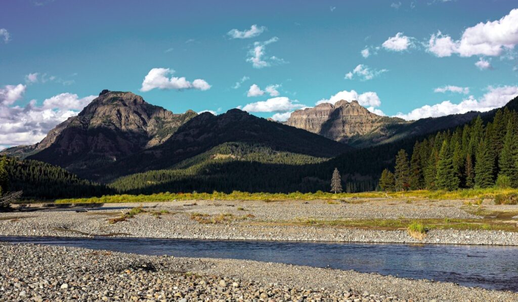 Lamar River in Lamar Valley at Yellowstone