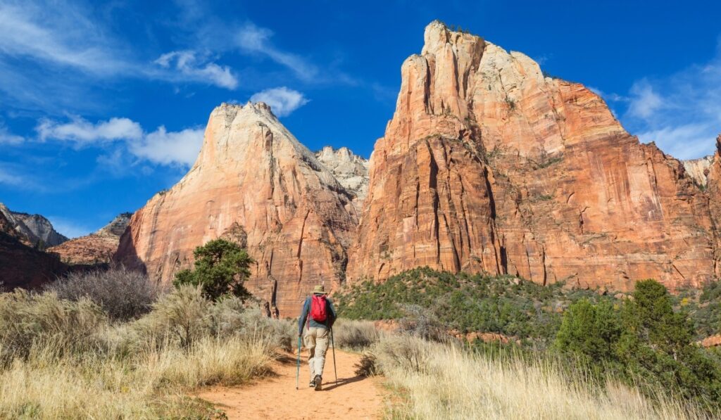 Hike in Zion National Park. Man walk on the trail in Zion National park,Utah. Back turned no face visible.