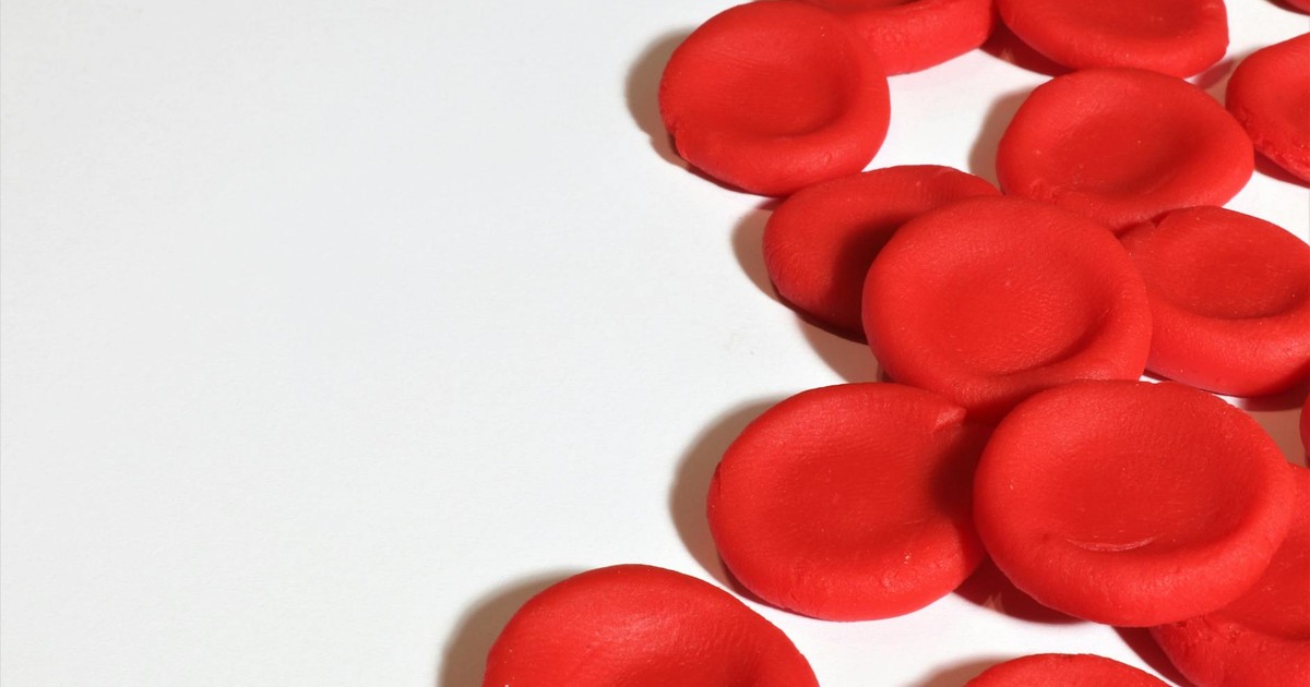Artistic depiction of red blood cells on a white background, emphasizing medical concepts.