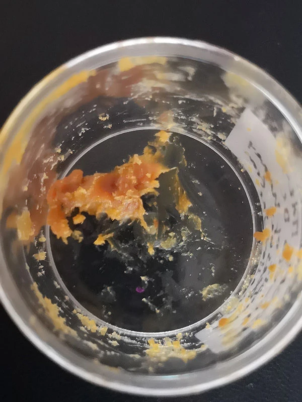 Modern analysis suggests this is what 2,500-year-old honey would have looked like.