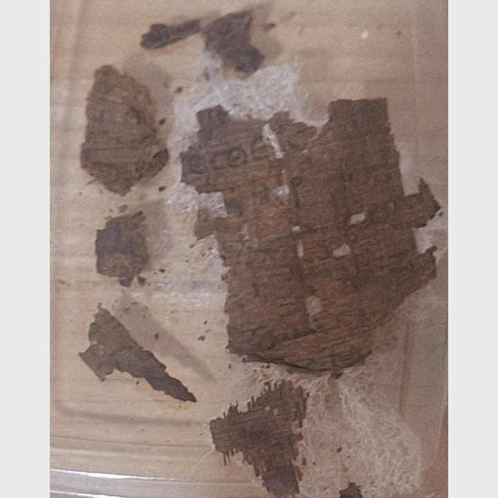 A papyrus containing a small section of the Iliad in an Egyptian mummy.