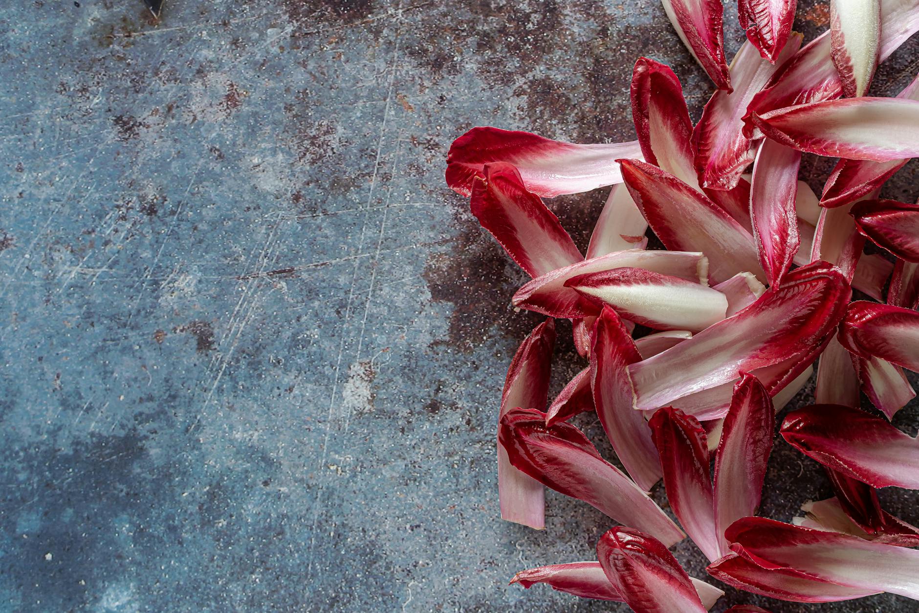 A vibrant display of red chicory leaves on a textured, rustic surface, perfect for food styling and backgrounds.
