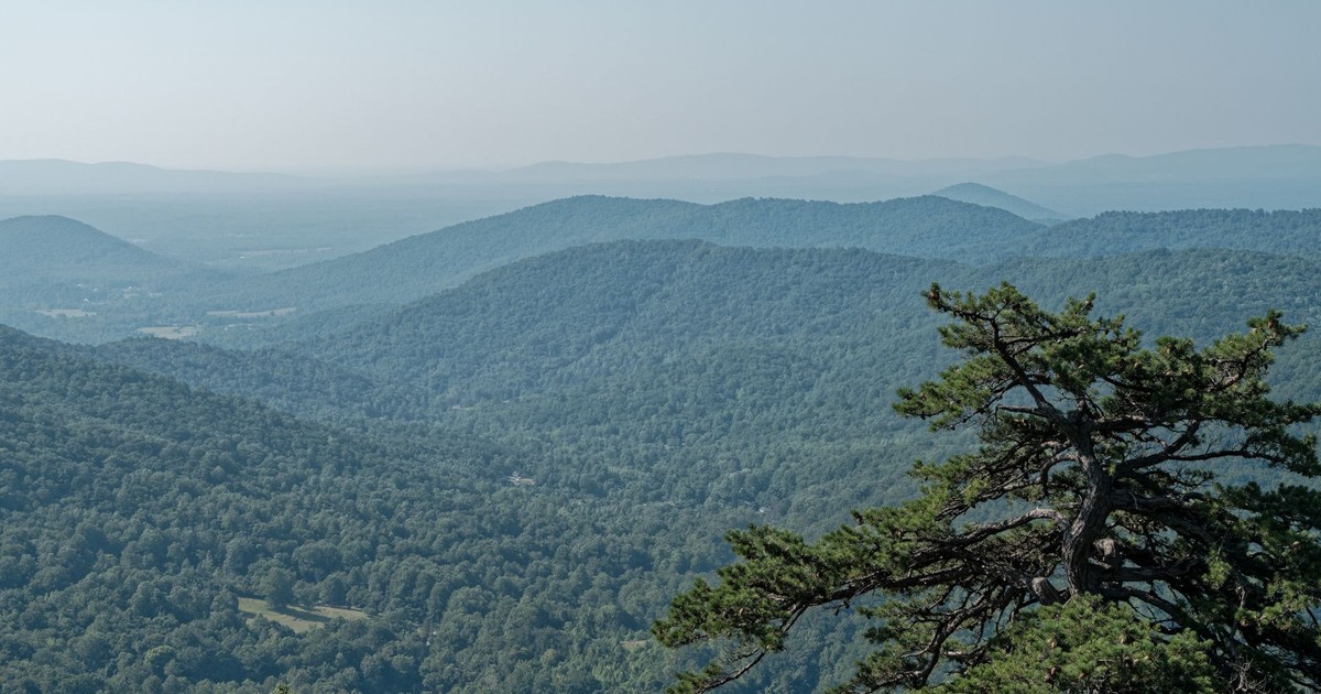 Serene view of lush green mountains in Shenandoah National Park, Luray, VA.