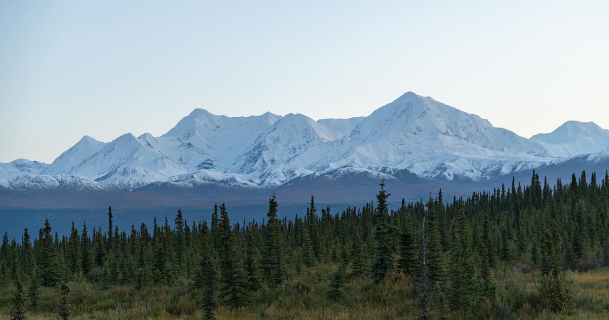 Scenic view of snow-capped mountains and lush forest in Alaska, USA, captured during day.