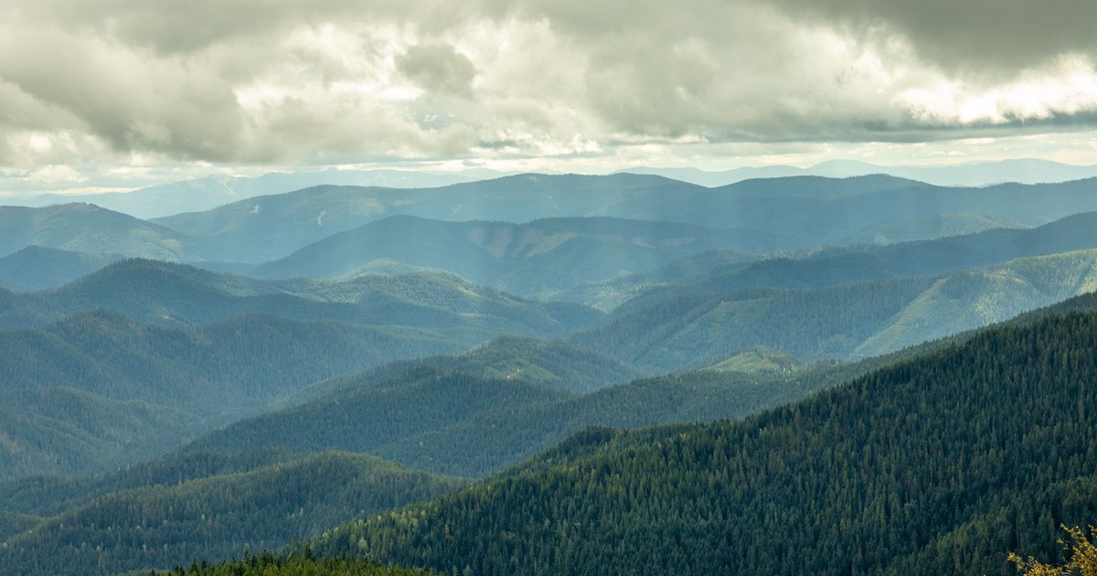 Breathtaking view of Idaho's mountain ranges with lush forests and dramatic cloudy skies.